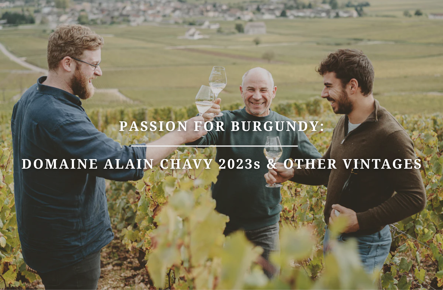 Passion for Burgundy: Alain Chavy 2023s Vintage & Other Vintages