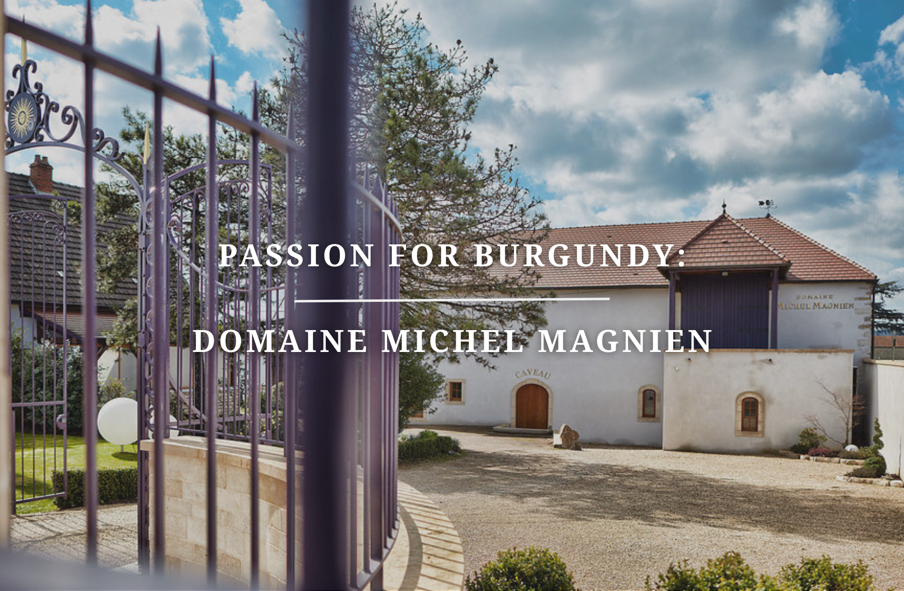Passion for Burgundy: Domaine Michel Magnien