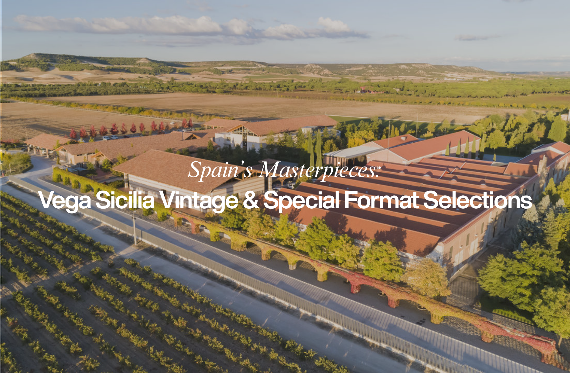 Spain’s Masterpieces: Vega Sicilia Vintage & Special Format Selections