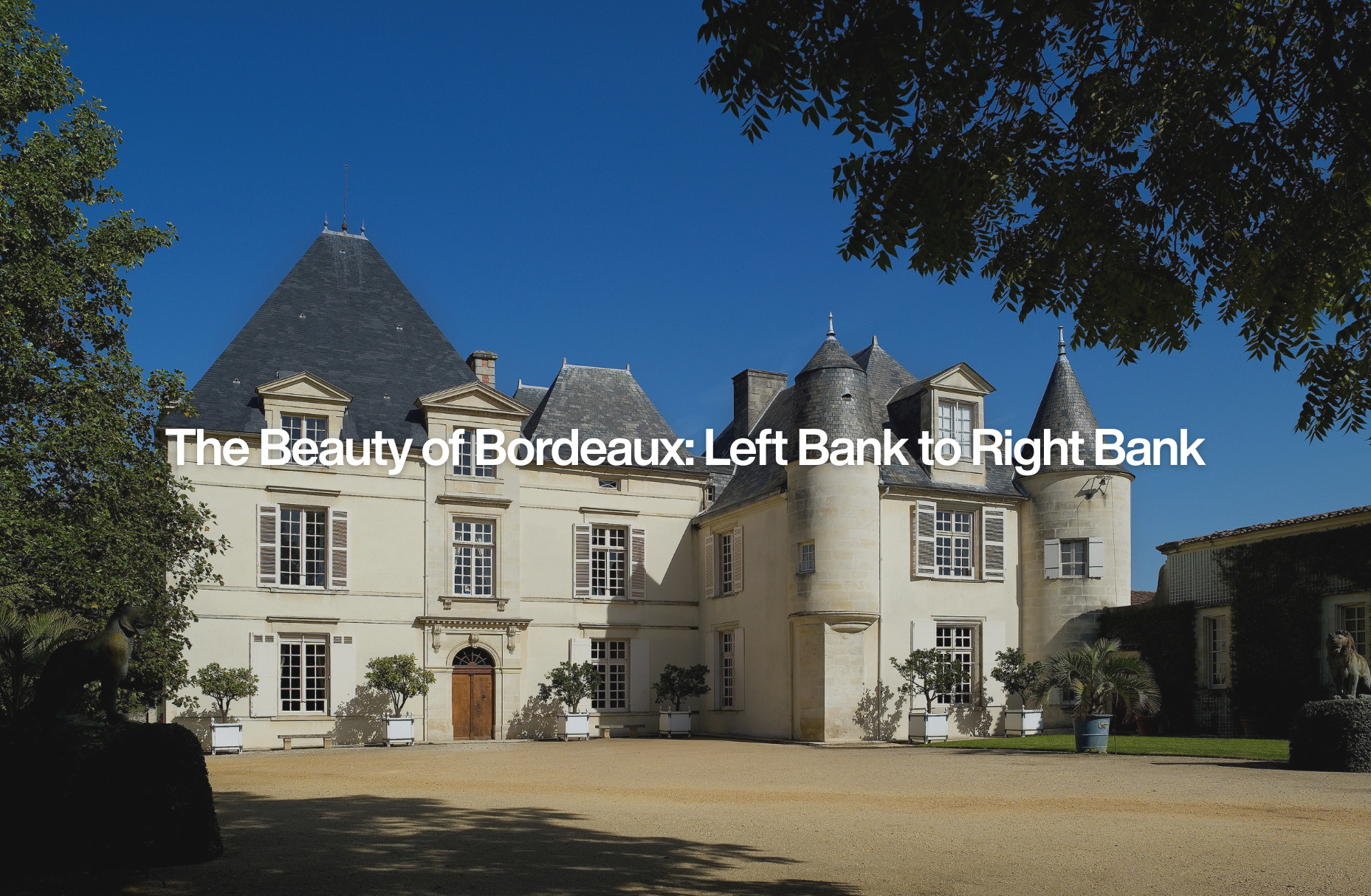 The Beauty of Bordeaux: Left Bank to Right Bank