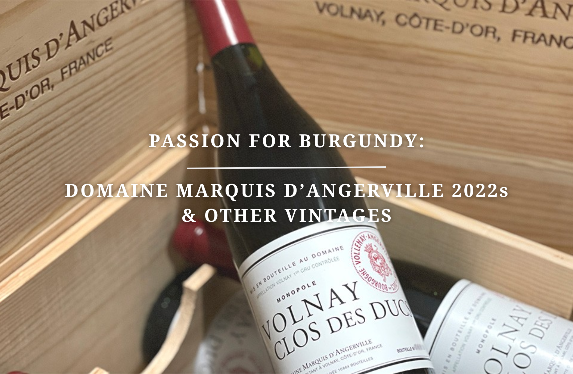 Passion for Burgundy: Domaine Marquis d'Angerville 2022s & Other Vintages