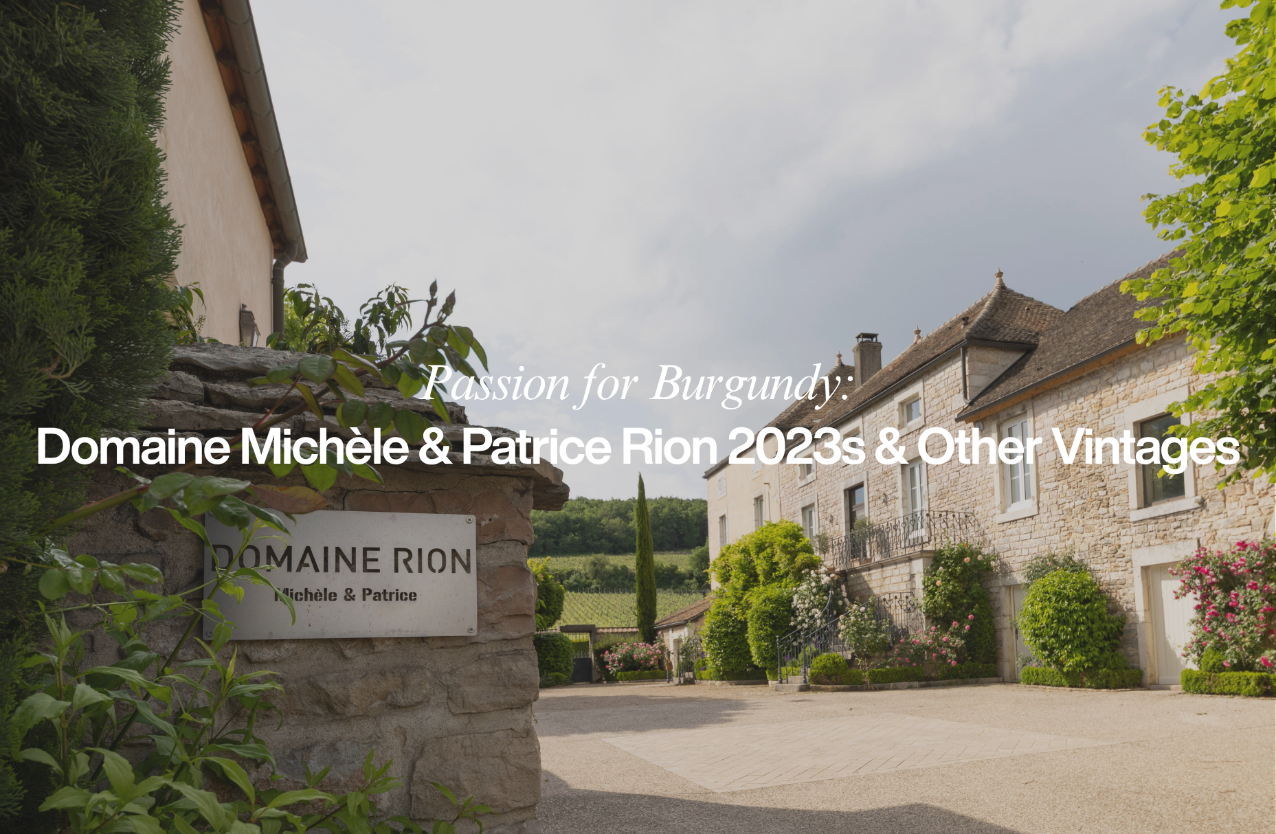 Passion for Burgundy: Domaine Michèle & Patrice Rion 2023s & Other Vintages