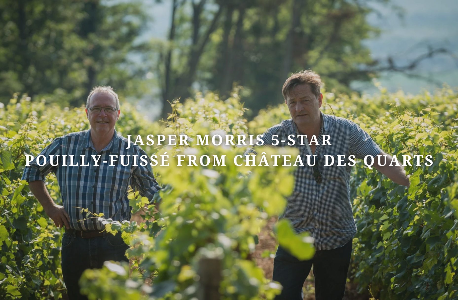Jasper Morris 5-Star Pouilly-Fuissé from Château des Quarts