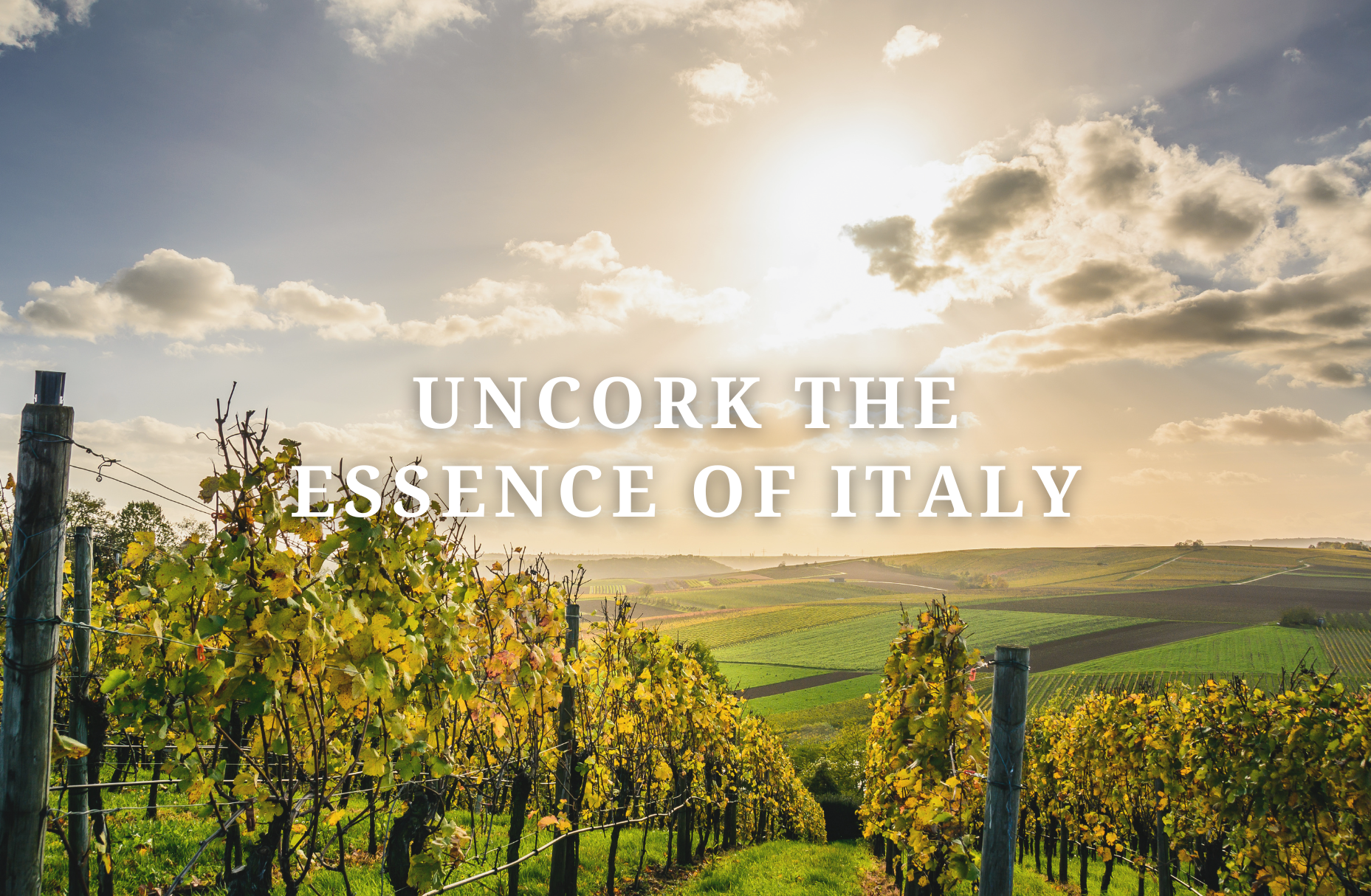 Uncork the Essence of Italy