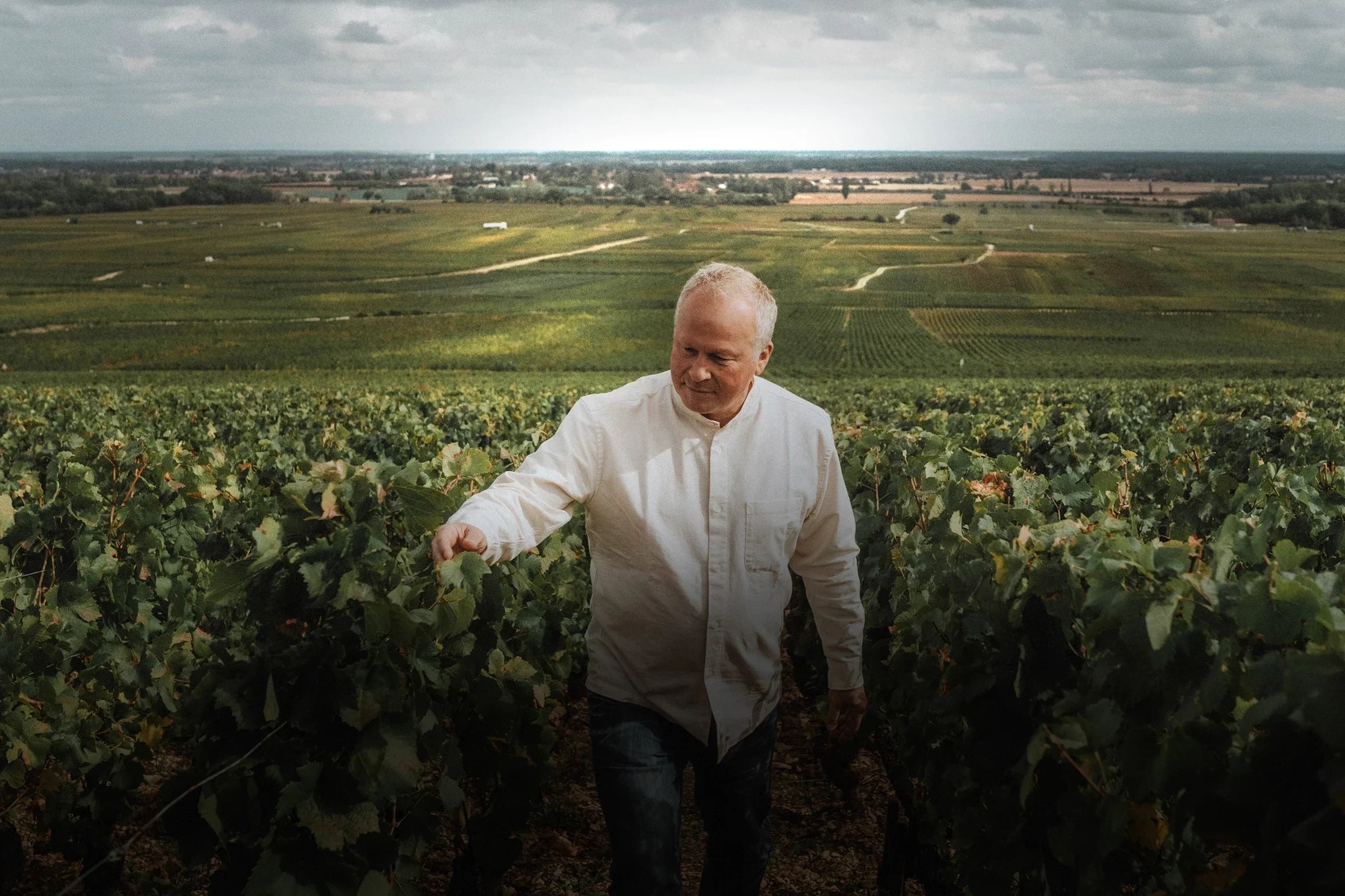 Domaine de Montille