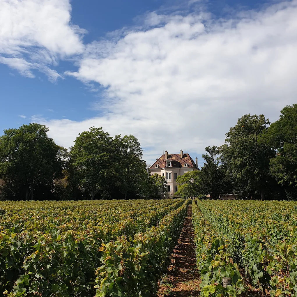 Comtes Lafon