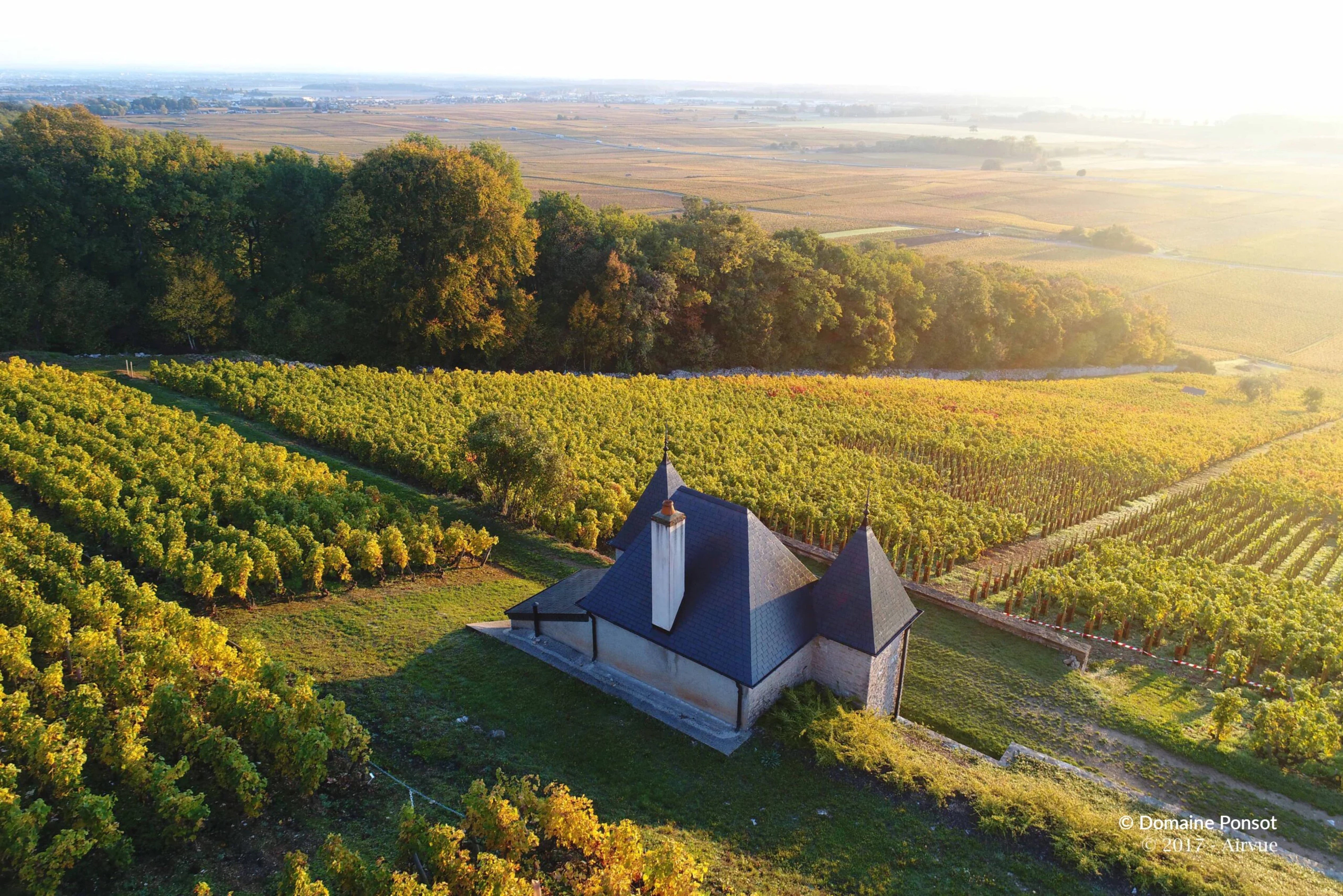 Ponsot