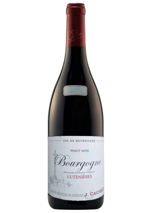 Jacques Cacheux Bourgogne Lutenieres 2022