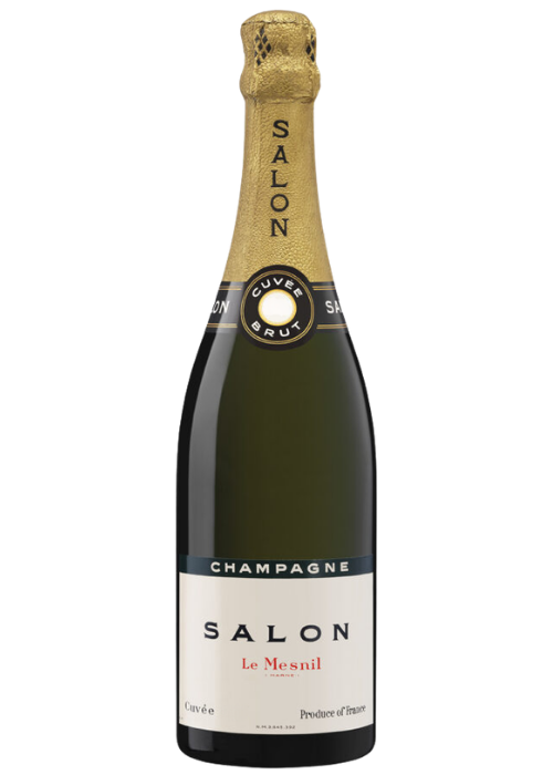 Salon 1955